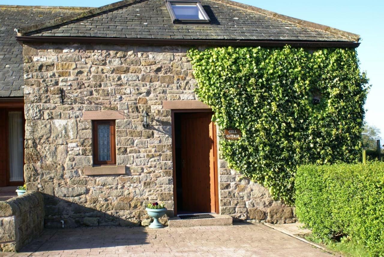 Gill Cottage Castle Carrock Exterior foto